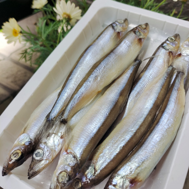 辦公室網路團購美食推薦 幸福食事海鮮 柳葉魚 幸福食事