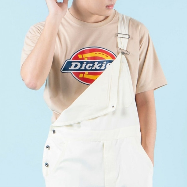 Dickies 男裝 女裝 印花Logo 短袖 T恤 透氣 舒適 男女通用 時尚 潮流 正品 美國休閒品牌 海外直送
