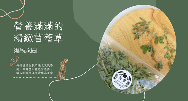 新品上架｜精緻苜蓿草